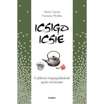 ICSIGO-ICSIE - A PILLANAT MEGRAGADÁSÁNAK MŰVÉSZETE