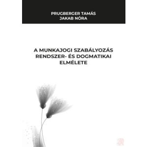 A MUNKAJOGI SZABÁLYOZÁS RENDSZER- ÉS DOGMATIKA ELMÉLETE