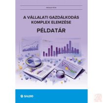 A VÁLLALATI GAZDÁLKODÁS KOMPLEX ELEMZÉSE - PÉLDATÁR