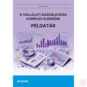 A VÁLLALATI GAZDÁLKODÁS KOMPLEX ELEMZÉSE - PÉLDATÁR