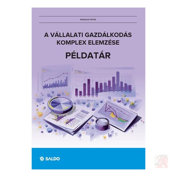 A VÁLLALATI GAZDÁLKODÁS KOMPLEX ELEMZÉSE - PÉLDATÁR