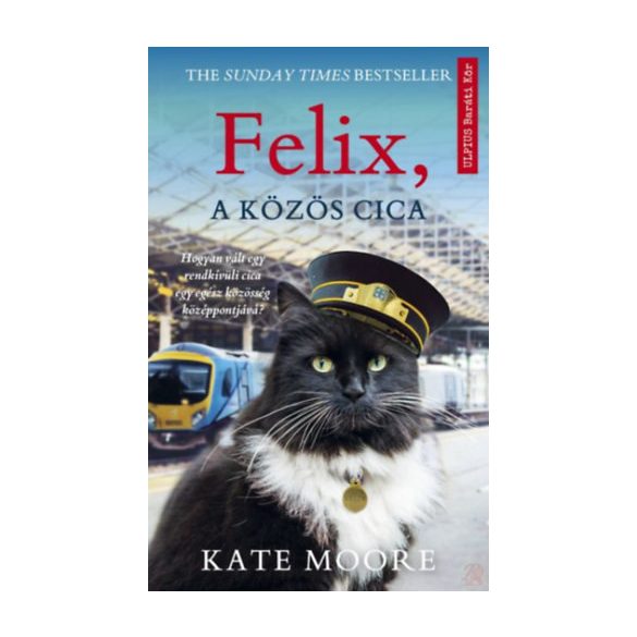 FELIX, A KÖZÖS CICA