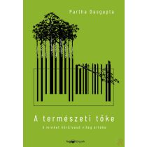 A TERMÉSZETI TŐKE