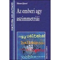 AZ EMBERI AGY ASZIMMETRIÁI