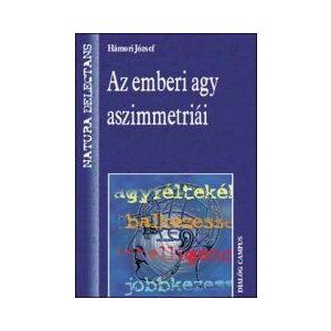 AZ EMBERI AGY ASZIMMETRIÁI AZ EMBERI AGY ASZIMMETRIÁI
