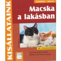 MACSKA A LAKÁSBAN