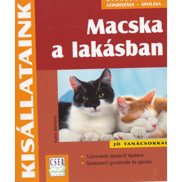 MACSKA A LAKÁSBAN