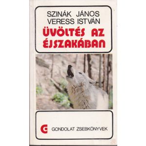 ÜVÖLTÉS AZ ÉJSZAKÁBAN