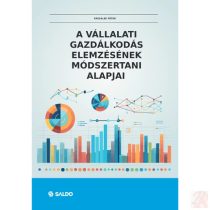   A VÁLLALATI GAZDÁLKODÁS ELEMZÉSÉNEK MÓDSZERTANI ALAPJAI