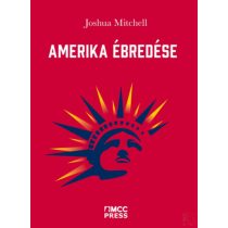 AMERIKA ÉBREDÉSE