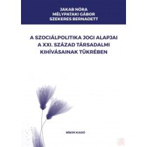   A SZOCIÁLPOLITIKA JOGI ALAPJAI A XXI. SZÁZAD TÁRSADALMI KIHÍVÁSAINAK TÜKRÉBEN 