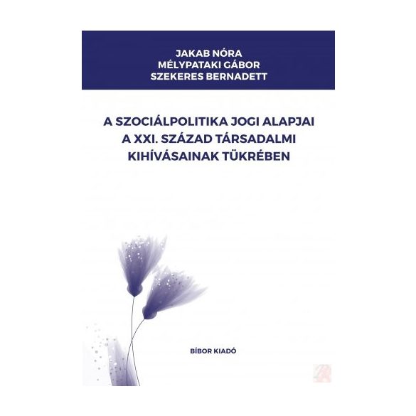 A SZOCIÁLPOLITIKA JOGI ALAPJAI A XXI. SZÁZAD TÁRSADALMI KIHÍVÁSAINAK TÜKRÉBEN 