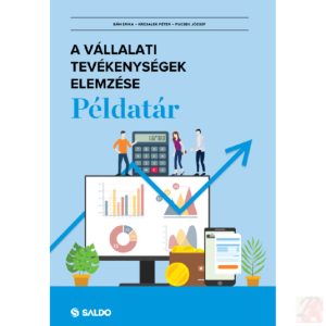 A VÁLLALATI TEVÉKENYSÉGEK ELEMZÉSE PÉLDATÁR