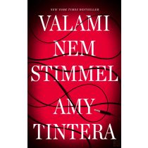 VALAMI NEM STIMMEL