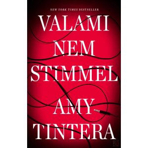 VALAMI NEM STIMMEL