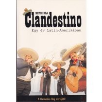 CLANDESTINO - EGY ÉV LATIN-AMERIKÁBAN
