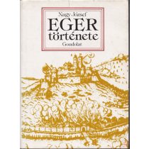 EGER TÖRTÉNETE