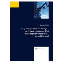 A JOG ÉRVÉNYESÜLÉSÉNEK TÉRSÉGE