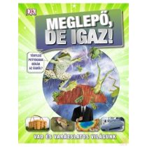 MEGLEPŐ, DE IGAZ