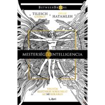   MESTERSÉG ÉS INTELLIGENCIA - VEGYÜK KEZÜNKBE SORSUNKAT AZ MI KORÁBAN 