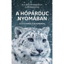 A HÓPÁRDUC NYOMÁBAN