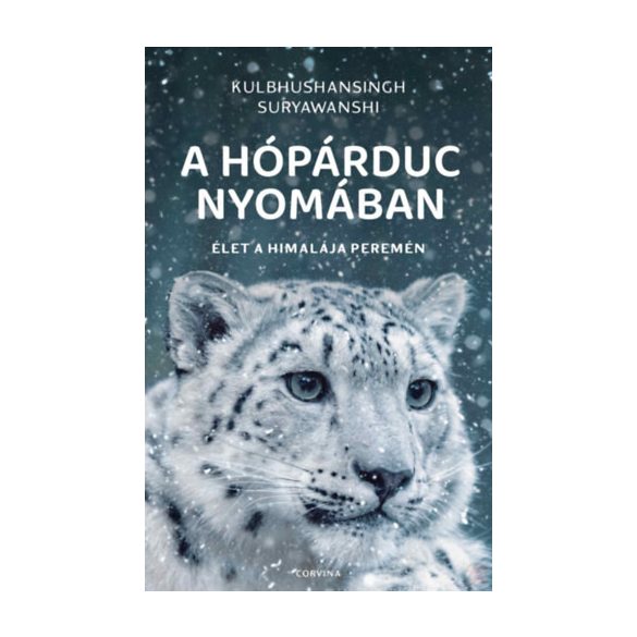 A HÓPÁRDUC NYOMÁBAN