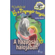 A HAZUGSÁG HÁLÓJÁBAN