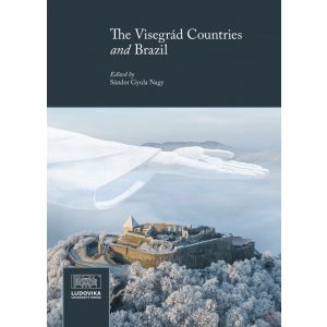 THE VISEGRÁD COUNTRIES AND BRAZIL