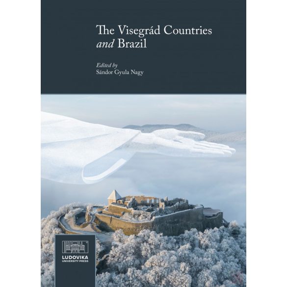 THE VISEGRÁD COUNTRIES AND BRAZIL