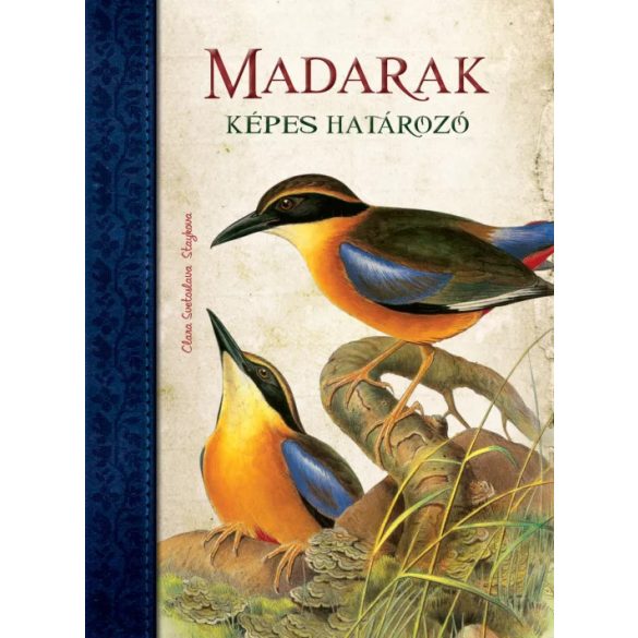MADARAK
