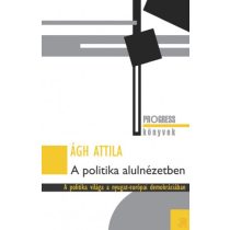   A POLITIKA ALULNÉZETBEN. A POLITIKA VILÁGA A NYUGAT-EURÓPAI DEMOKRÁCIÁBAN