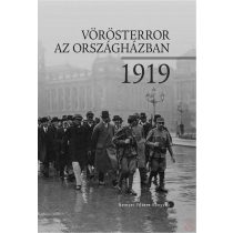 VÖRÖSTERROR AZ ORSZÁGHÁZBAN, 1919 