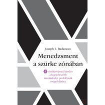 MENEDZSMENT A SZÜRKE ZÓNÁBAN