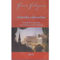 AMERIKA VÁLASZÚTON