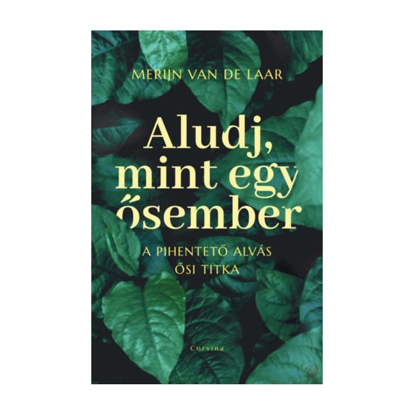 ALUDJ, MINT EGY ŐSEMBER