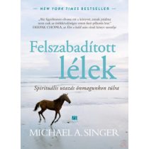   FELSZABADÍTOTT LÉLEK - SPIRITUÁLIS UTAZÁS ÖNMAGUNKON TÚLRA