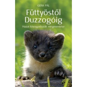 FÜTTYÖSTŐL DUZZOGÓIG - Elfogyott