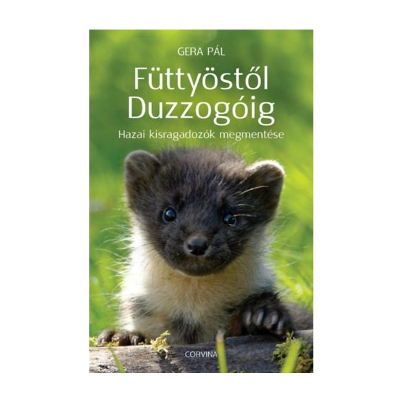 FÜTTYÖSTŐL DUZZOGÓIG - Elfogyott