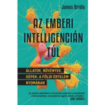 AZ EMBERI INTELLIGENCIÁN TÚL