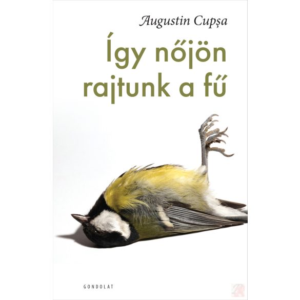 ÍGY NŐJÖN RAJTUNK A FŰ