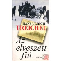 AZ ELVESZETT FIÚ