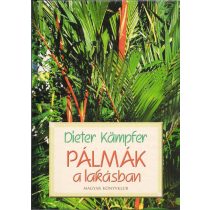 PÁLMÁK A LAKÁSBAN