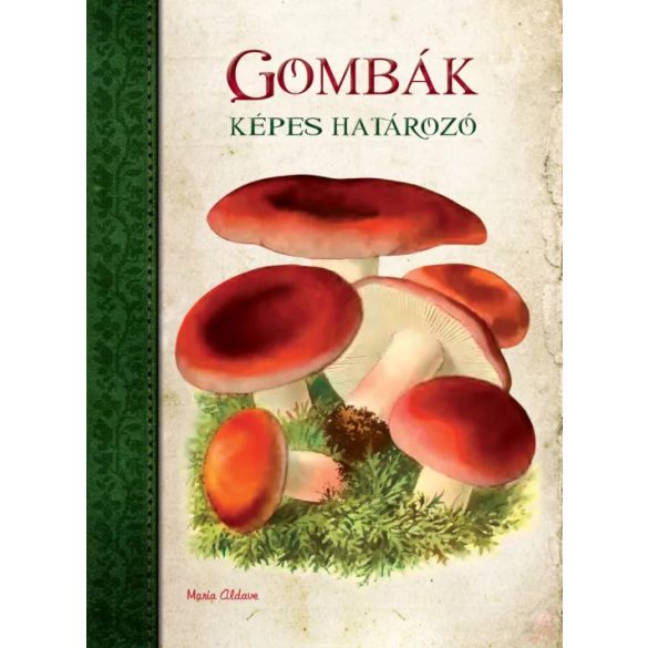 GOMBÁK