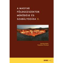 A MAGYAR FÖLDGÁZSZEKTOR MŰKÖDÉSE ÉS SZABÁLYOZÁSA II.