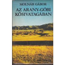AZ ARANY-GÓBI KŐSIVATAGÁBAN