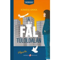 A FAL TÚLOLDALÁN