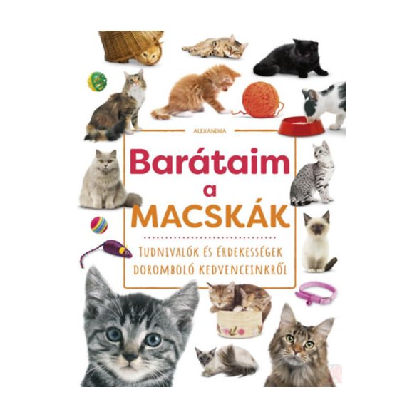 BARÁTAIM, A MACSKÁK