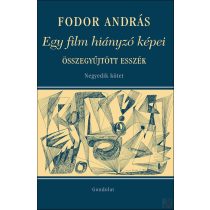   EGY FILM HIÁNYZÓ KÉPEI. TÁRSMŰVÉSZETEK, VISSZAEMLÉKEZÉSEK. 