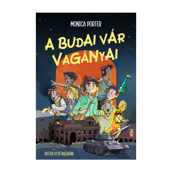 A BUDAI VÁR VAGÁNYAI