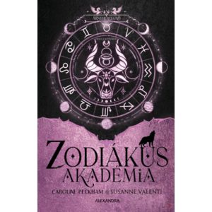 ÁRNYHERCEGNŐ - Zodiákus Akadémia 4. - Élfestett